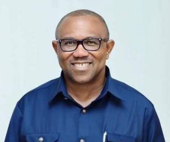 How I worked with Abacha -Peter Obi opens up