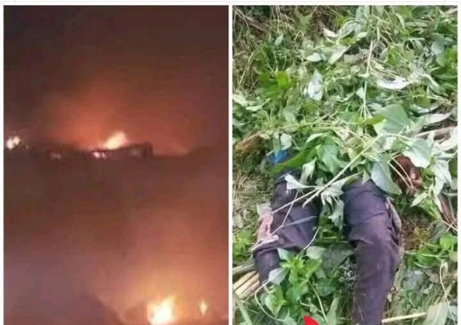 Bloodshed, destruction as Fulani herdsmen attack Benue again