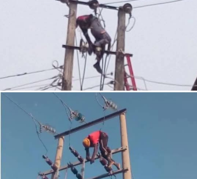 Screenshot_20250425-074721_1