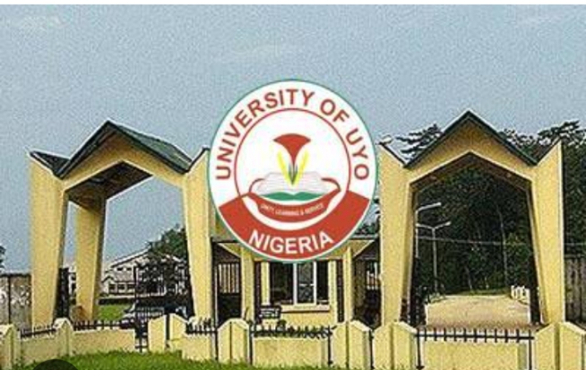 Screenshot_20250530-081012_1