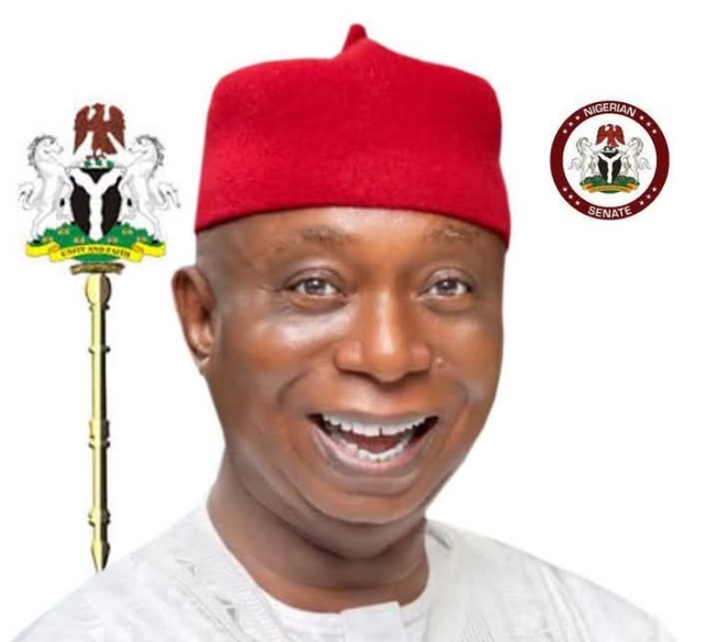 Democracy Watch: Two years of Sen Nwoko’s unmatched impact
