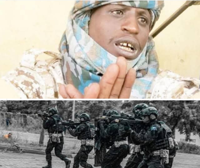Terrorist Turji’s ally, Danbokolo, 6 commanders, 182 others killed