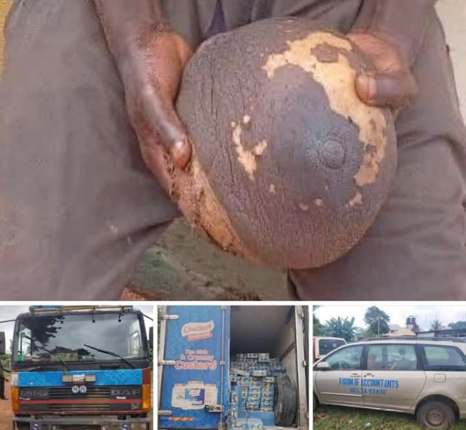 Screenshot_20250706-225557_1