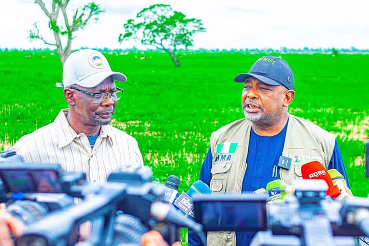 Food Security: Gov Sule, Minister Kyari inspect expansion of Nasarawa rice farm