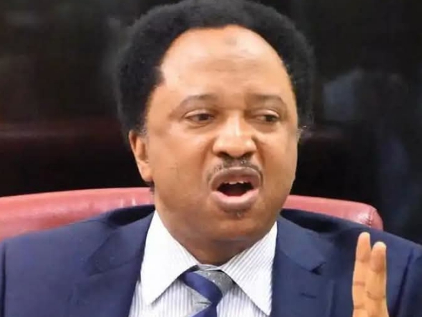 2027: Needless returning failed Northern leader to power – Sen Sani