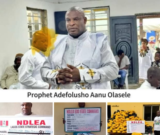 NDLEA arrests wanted General Overseer, uncovers tonnes of hard drugs