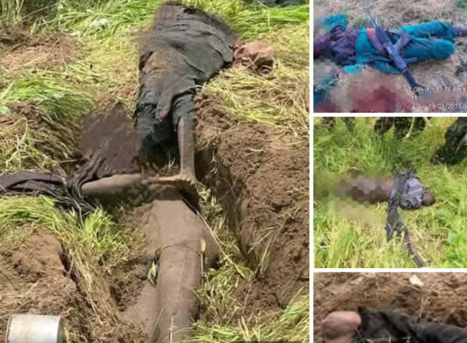 Over 35 terrorists neutralized in Borno by Nigerian troops