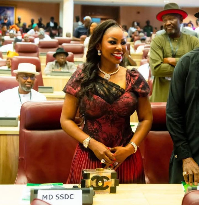 Tinubu inaugurates Usoro, Boards of S/South, other Regional Dev Commissions