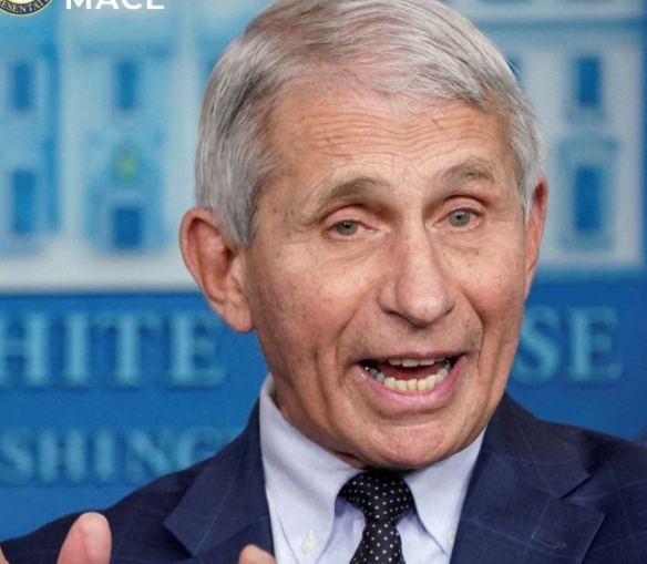 COVID-19 Probe: US Rep, Nancy Mace presses for Contempt Charges against Dr. Fauci