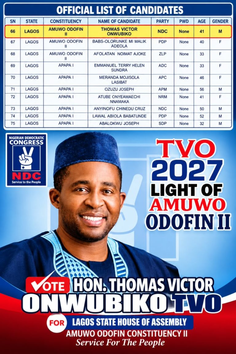 2027: Amuwo-Odofin voters rejoice as INEC lists Thomas Onwubiko as NDC candidate for Assembly election